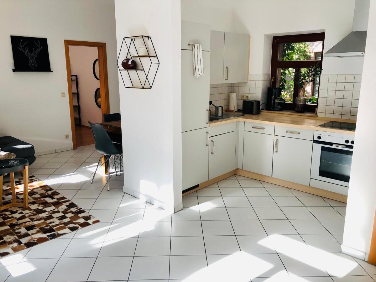 Ferienwohnungen Mit Terrasse In Zwingernaehe - Hilger Rentals Dresden Eksteriør billede
